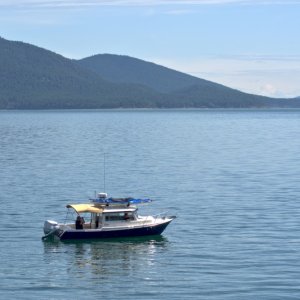 Floating by on their way to the Sucia Island after party