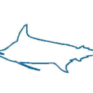fish morph