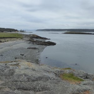 Some of the shoreline near Cattle Point