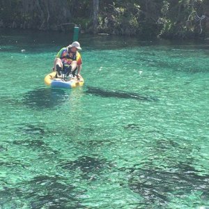 Manatee checking out Colby on his Hobiecraft