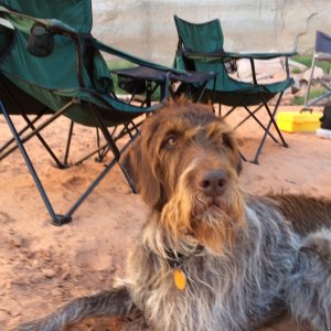 Salty at Iceberg Canyon 9-16-14