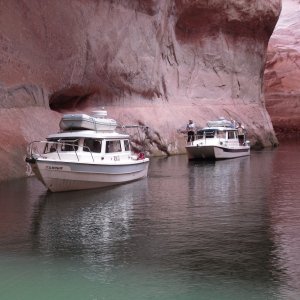 Cathedral of the Desert