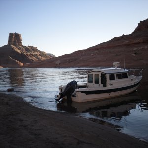 Rana Verde behind Cookie Jar