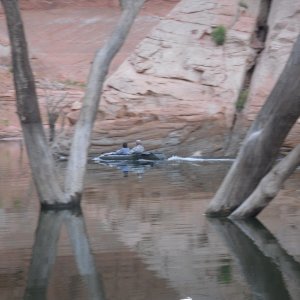 Jay & Jo-Lee in their Mokai