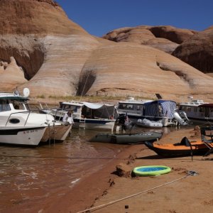 Boats for the gathering