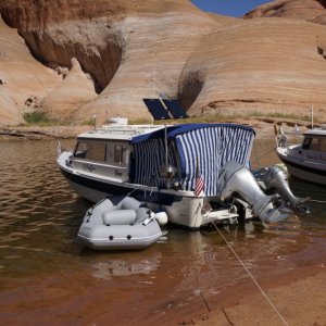 C Puffin and Grace Full