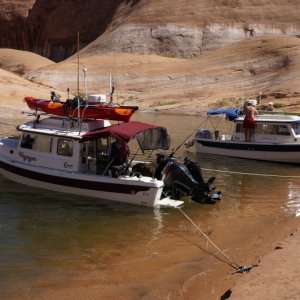 Voyager and C View II