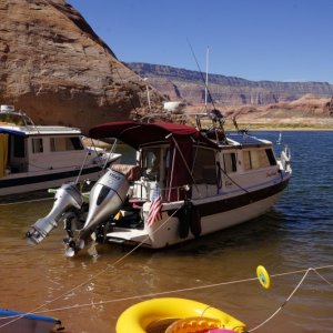 Daydream at gathering