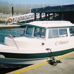 (c-dancer) C-Dancer in the sun