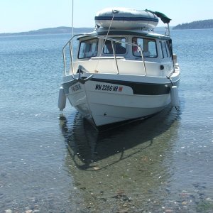 (c-dancer) Beached for the very 1st time near Port Gamble