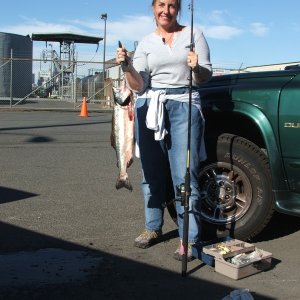 (c-dancer) Caryn's first Pink Salmon