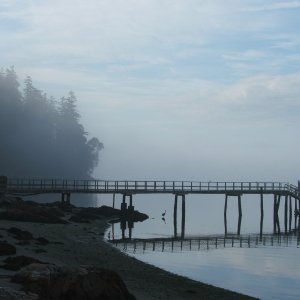 (c-dancer) Morning fog at Deer Harbor