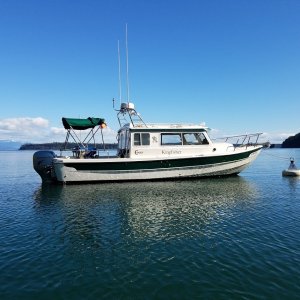 Eagle Harbor, Cypress Island