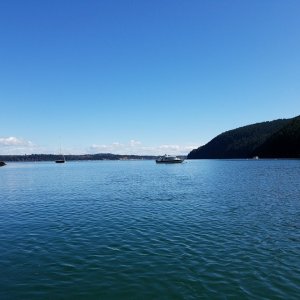 Eagle Harbor, Cypress Island