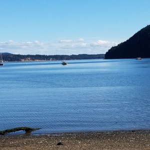 Eagle Harbor, Cypress Island