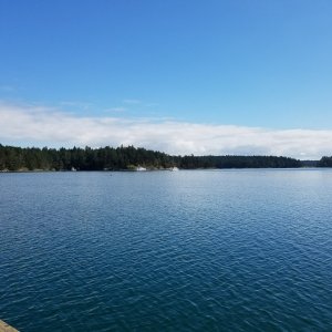 Spring trip to Stuart Island, in San Juans.