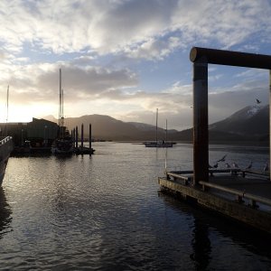Media 'Petersburg Harbor 10 PC270044' in album 'Petersburg 2016 - Sunrise.  P8080035'