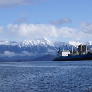 Petersburg, March 2012 023 - Looking East from the Wrangell narrows in front of Petersburg Harbor