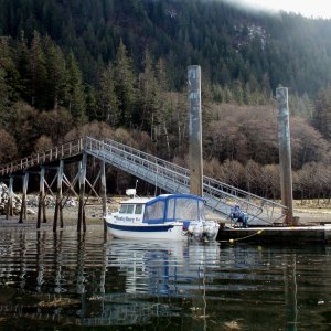 Forest Service dock, Salt Water Bay, Port Fredrick near Hoonah