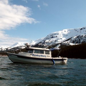 anchored at the head of Lisianski Inlet
