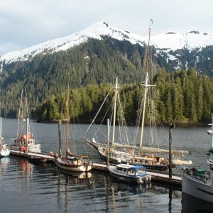 With the sailboat fleet at Warm Springs Bay dock