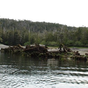 I\'m guessing 200 foot sunken ship exposed by the low tide in Ship Cove, Conclusion Bay where Capt Vancouver finished his 1793 exploration of the Inland Passage.