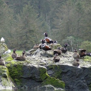 thinking about settling down for the night