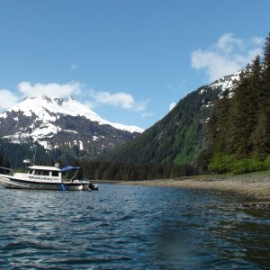 This is where anchored with the bear on shore