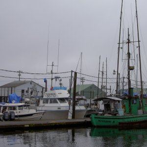 at the Petersburg dock.  The green fishing boat Osprey we last saw in Port Alexander in 2010.  It was built in 1918 & is 94 years & still looking good