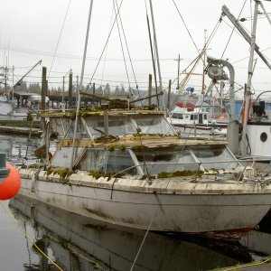 much younger retired bayliner