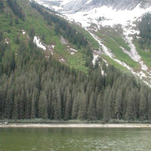 center of area hit by wind, dust & waves from the rock fall that fall a day or two before our arrival