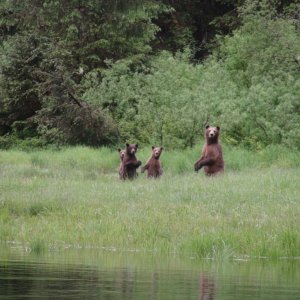 She\'s thinking.  Are you a threat?