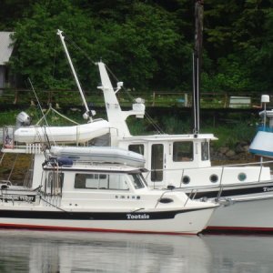 A pat hand pair in Elfin Cove