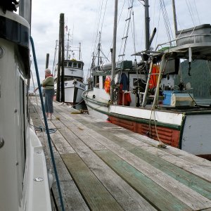 Moored at northern float past cannery