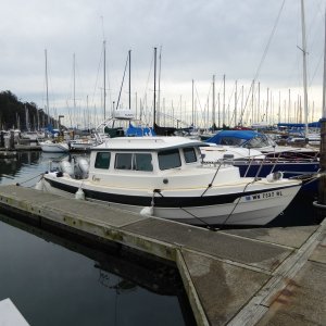 Another C-dory in one of the slips