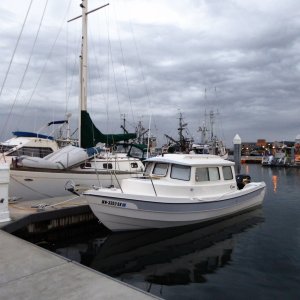 At visitor slip for Saturday night at Cap Sante