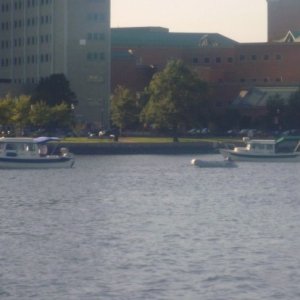 P1010704