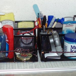 Metal mesh organizers
