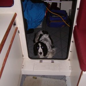 This photo shows the center bilge sump that came after the starboard side one, but before the "permanent" raised cockpit sole.  I'm sorry but I saved it way back when and neglected to note whose boat it was.
