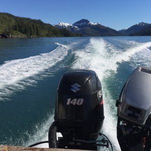 Prince William Sound