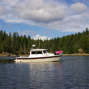 Grace Harbor