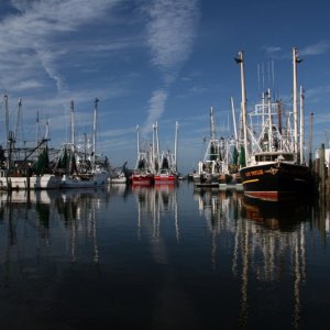 Our harbor in the day