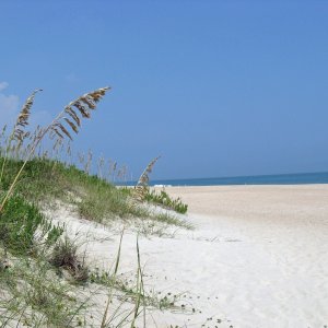 A Shackleford Banks beach