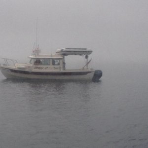 Wee bit foggy