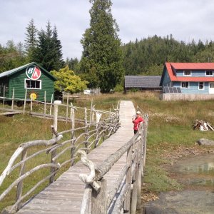 Proctors museum