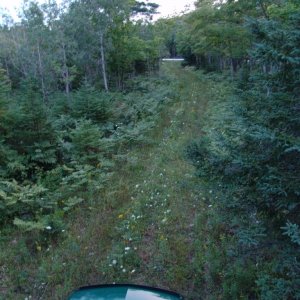 Backed up in the woods for the night.