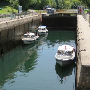 IMG 1549