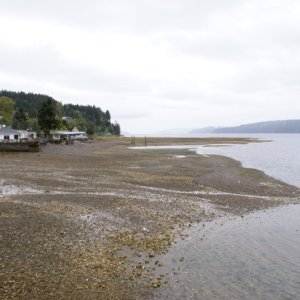 Hood Canal, Apr 30 - May 04, 2012 077 Hoodsport
