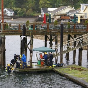 Hood Canal, Apr 30 - May 04, 2012 087 Hoodsport.  Dive class at the dock next to us.