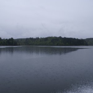 Hood Canal, Apr 30 - May 04, 2012 089 East Shore, Heading North.